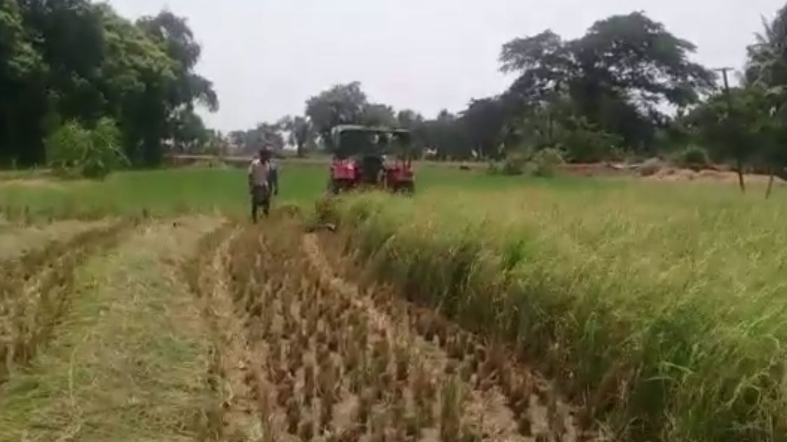 video